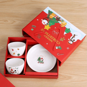 Christmas Ceramic Bowls and Plates Set with Gift Box